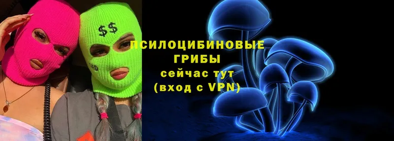 Галлюциногенные грибы Magic Shrooms  Петров Вал 